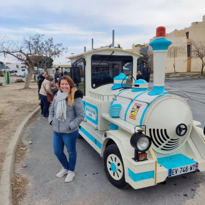 ruta navideña por el sur de francia, qué ver cerca de carcassonne