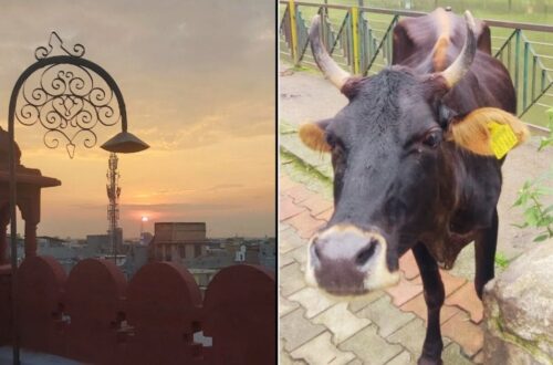 es seguro viajar a india