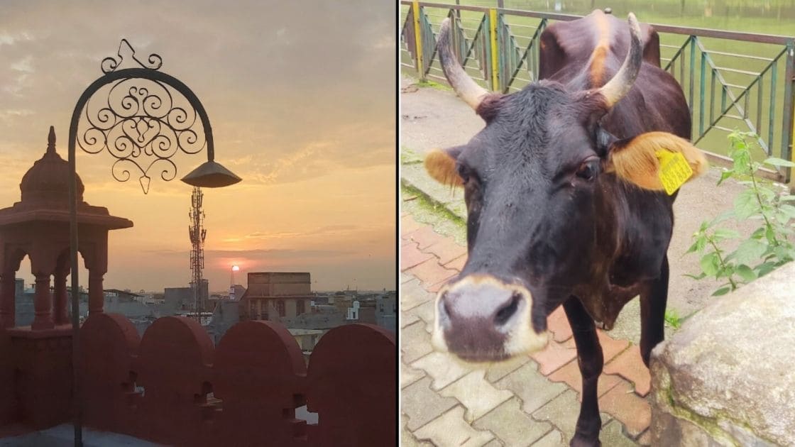 es seguro viajar a india