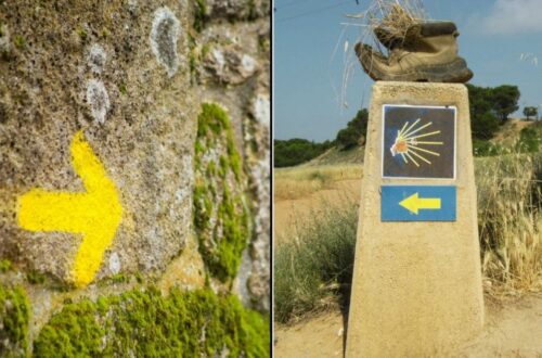 símbolos del camino de santiago