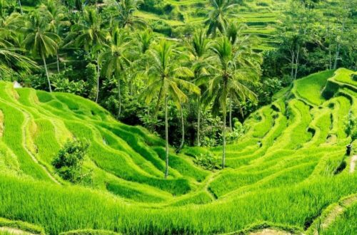 es seguro viajar a indonesia