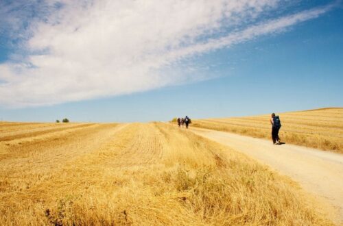 por qué se hace el camino de santiago