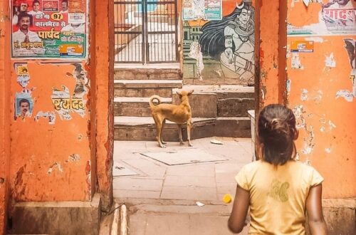 aprendizaje viaje india