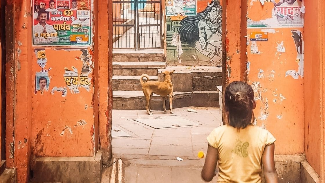 aprendizaje viaje india