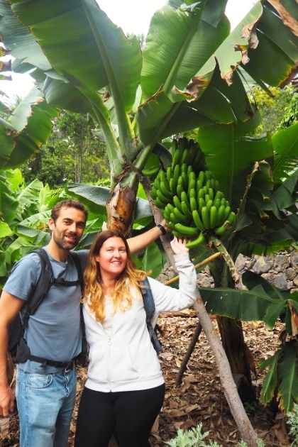 qué ver en icod de los vinos